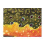 Brook Trout Fly Fishing Post Cards
