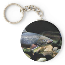 Brook trout keychains