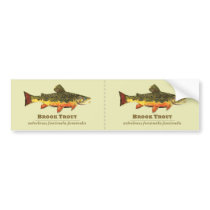 Brook Trout Latin Bumper Stickers