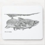 Brook Trout
