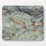 Brook Trout mousepad Blending in rock creek