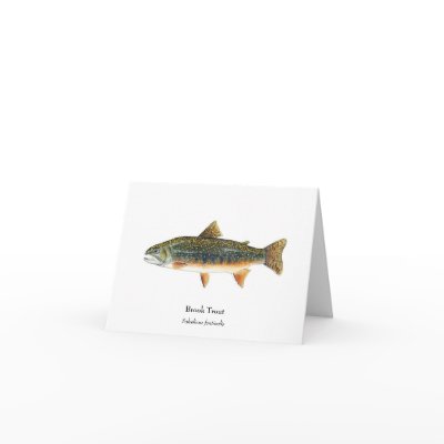 Brook Trout Notecard by KarenTalbotArt
