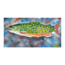 Brook Trout