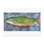 Brook Trout