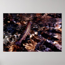 Brook Trout Poster