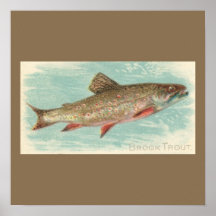 Brook Trout Print