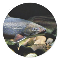 Brook trout round sticker