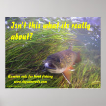 Brookie Poster