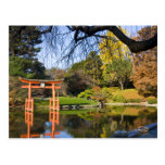 Brooklyn New York Botanic Garden Fall Post Cards