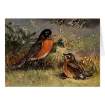 Brooks' Robins Greeting Card
