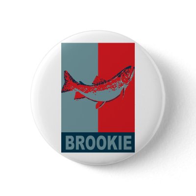 BrookTrout Iconized freshwater fish species by OutDoorWorld
