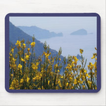 Broom on Cinque Terre coast Mouse Pads