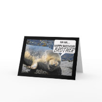 Brother Birthday card with laughing seal pup
