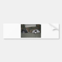Brothers Bumper Sticker