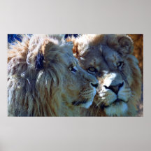 Brothers Poster