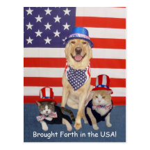 Brought Forth in the USA! Postcard