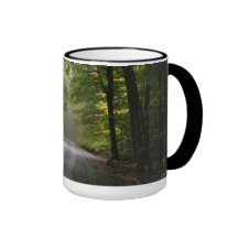Brouillard dans le tunnel d'arbre tasse