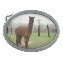 Brown Alpaca Stud Oval Belt Buckle