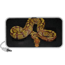 Brown and Gold Ball Python iPod Speaker