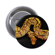 Brown and Gold Ball Python Pin