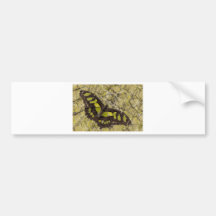 Brown and Green Butterfly Bumper Sticker