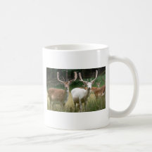 brown and white deer coffee mugs