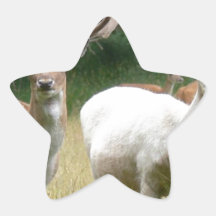 brown and white deer stickers