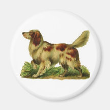 Brown and White Dog Magnet