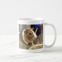 Brown and white guinnie pig coffee mugs