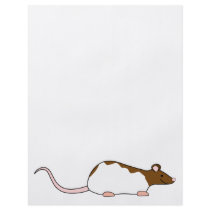 Brown and White Hooded Pet Rat. Flyer