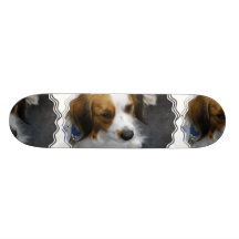 Brown and White  Kooikerhondje Dog Skateboard