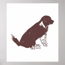 Brown and white newfie posters