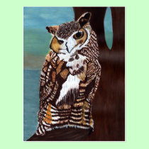 Brown and White Owl Postcard postcards