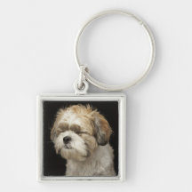 Brown and white Shih Tzu with eyes closed Key Chain