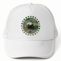 Brown and White Skunk Baseball Hat