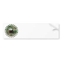 Brown and White Skunk Bumper Stickers