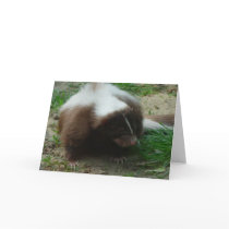 Brown and White Skunk Greeting Card