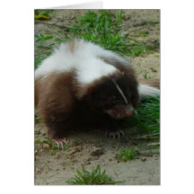 Brown and White Skunk Greeting Card