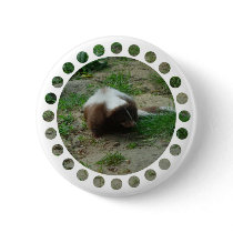 Brown and White Skunk Round Buton Pin