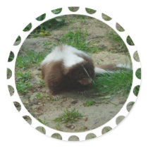 Brown and White Skunk Stickers