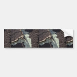 Brown And White Wall (Peeling) Bumper Stickers