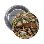 Brown Banana Slug Pins