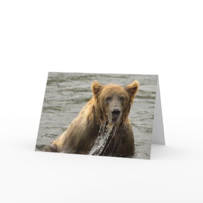 BROWN BEAR CARD by pwuebker