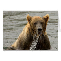 BROWN BEAR CARD