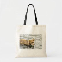 Brown bear cub in water bag