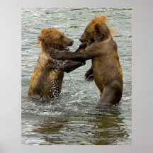 Brown Bear Cubs Posters