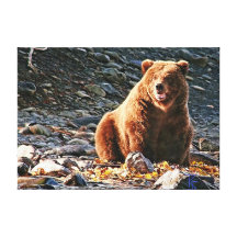 Brown Bear Fishing Stretched Canvas Prints