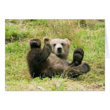 Brown_Bear_Kodiak_Cub Greeting Card