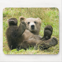 Brown_Bear_Kodiak_NWR Gifts Mouse Mats