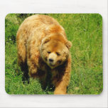 Brown Bear Mousepad